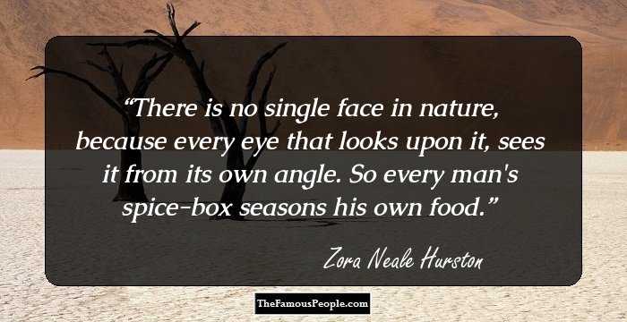 There is no single face in nature, because every eye that looks upon it, sees it from its own angle. So every man's spice-box seasons his own food.