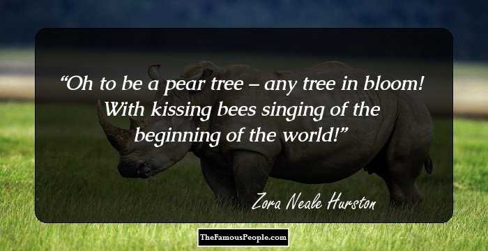 Oh to be a pear tree – any tree in bloom! With kissing bees singing of the beginning of the world!